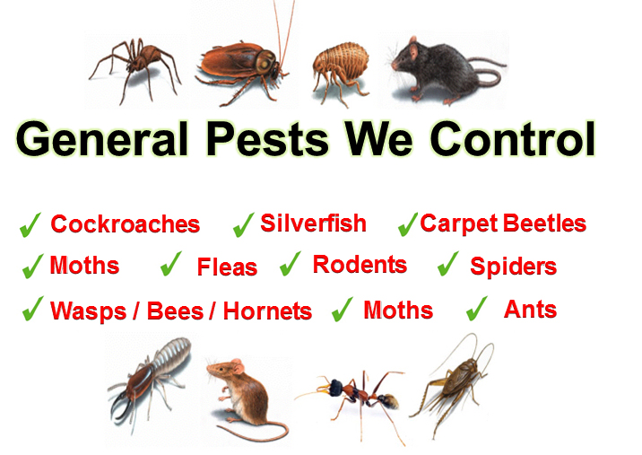 General Pest Control