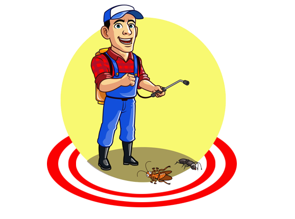 India Best Pest Control Services Provider