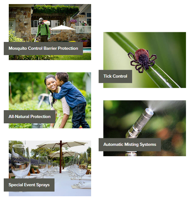 General Pest Control