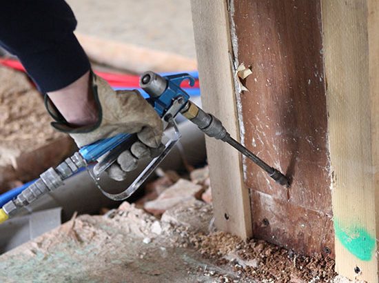 Termite-Control-services