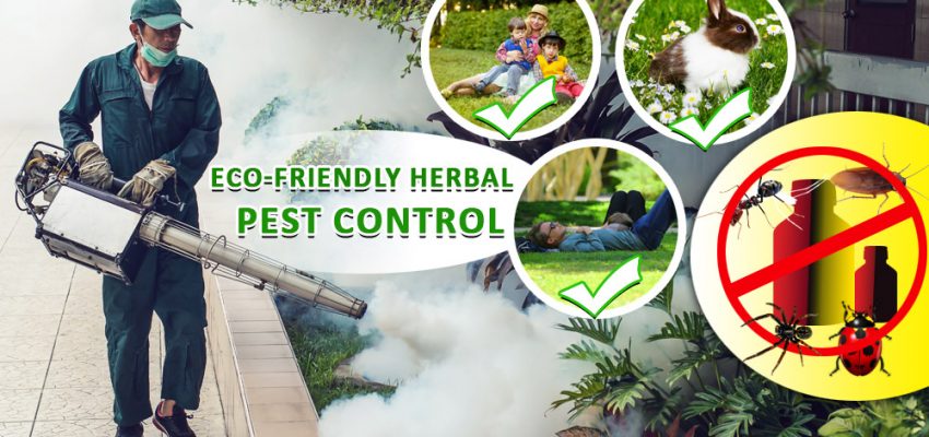 General Pest Control